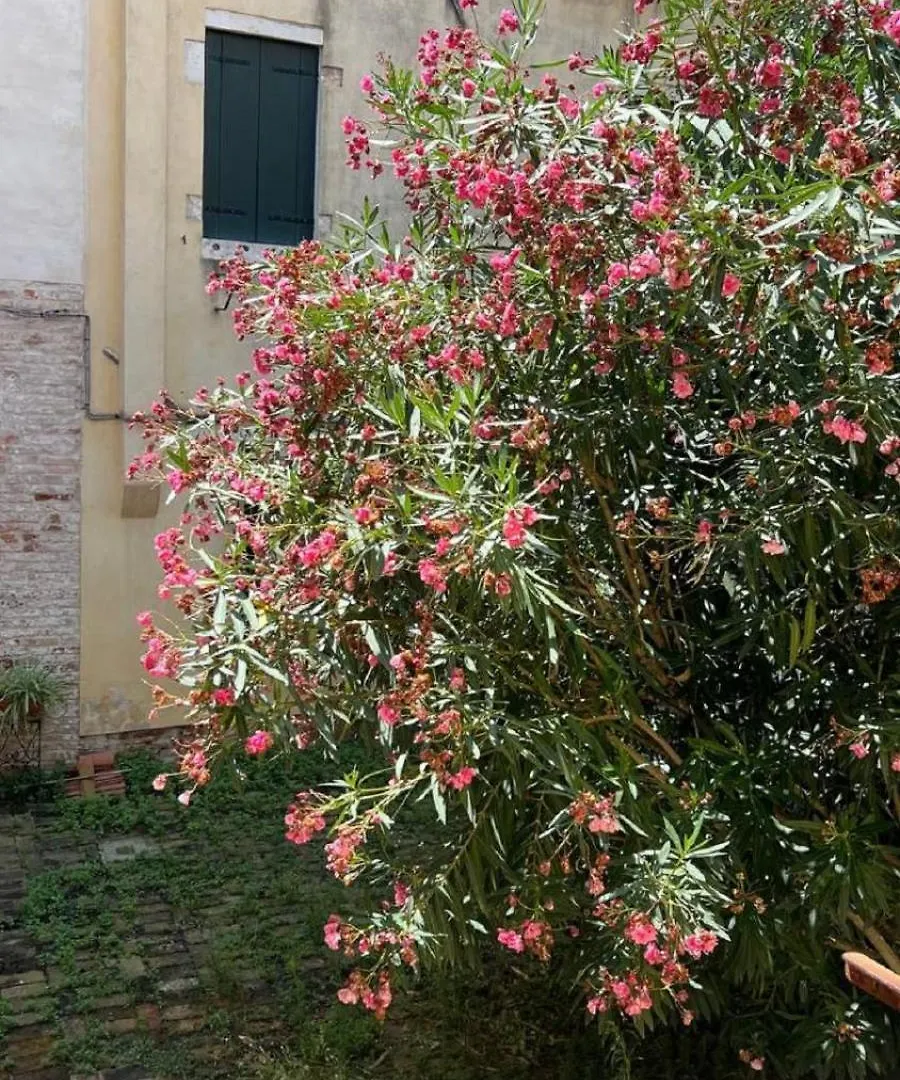 Ania Apartment Venice 0*,  Italy